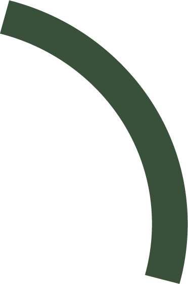 Balken grün Balken grün